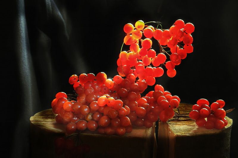 ягоды, калина, рябина, малина, клюква Калина красная.photo preview