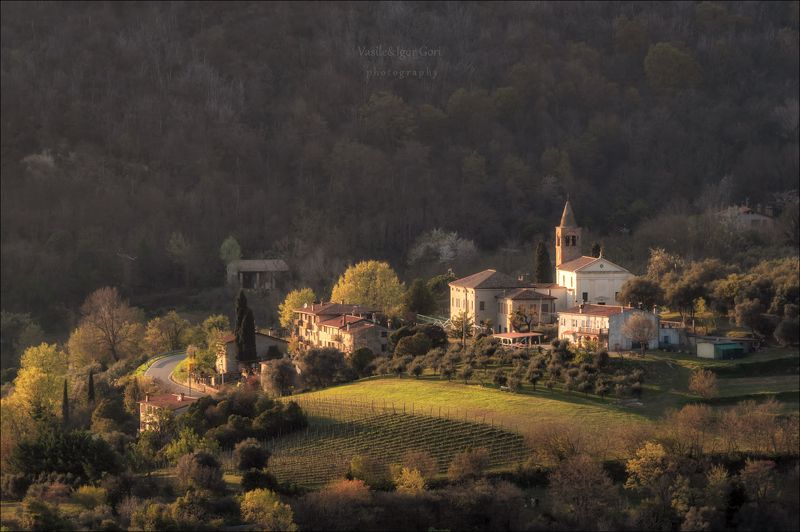 italy,faedo,italia,вечер,италия,veneto,кипарис,весна,венето,cipressi,belvedere,деревня,фаэдо Весенний вечер в Фаэдоphoto preview