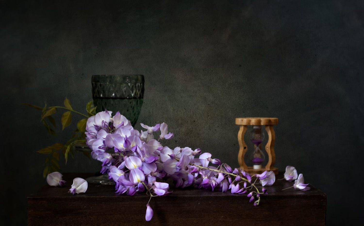 натюрморт, цветы, глициния, Оля