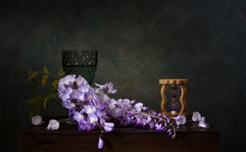 натюрморт, цветы, глициния С глициниейphoto preview