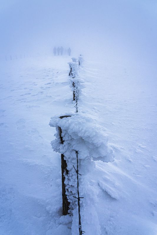 snow landscape nature vertical Snowphoto preview