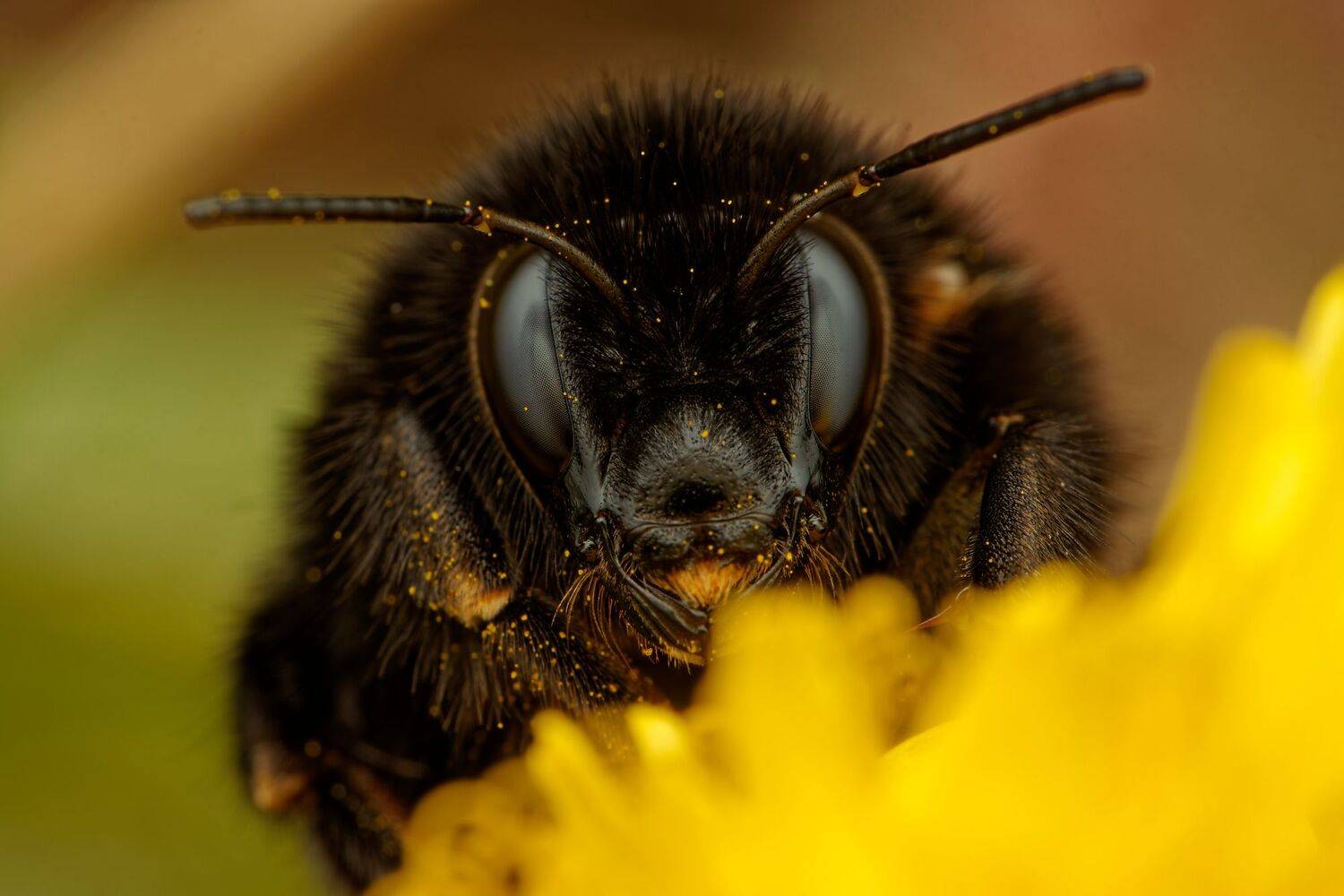 Автор: Jozef Mihalčin , Jozef Mihalčin