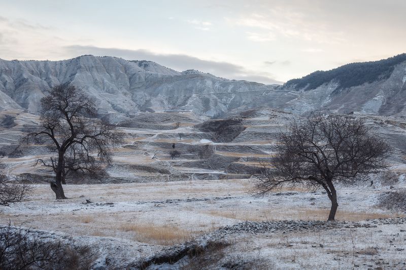 дагестан Возле села Кудали. Дагестан.photo preview
