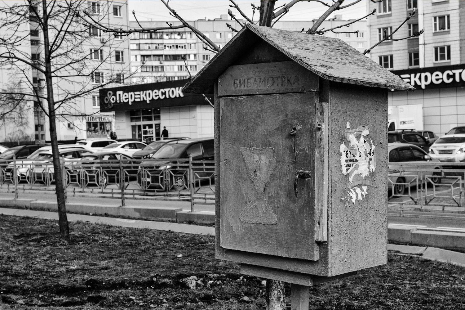 "Как пройти в библиотеку?.." (с). Автор: Евгений Верещагин , Евгений Верещагин