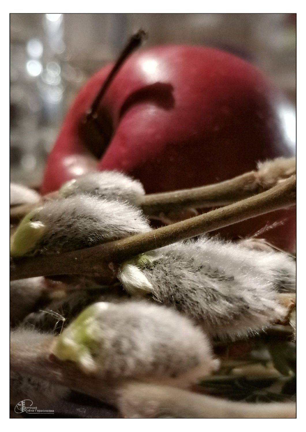 , Герасимова Алёна