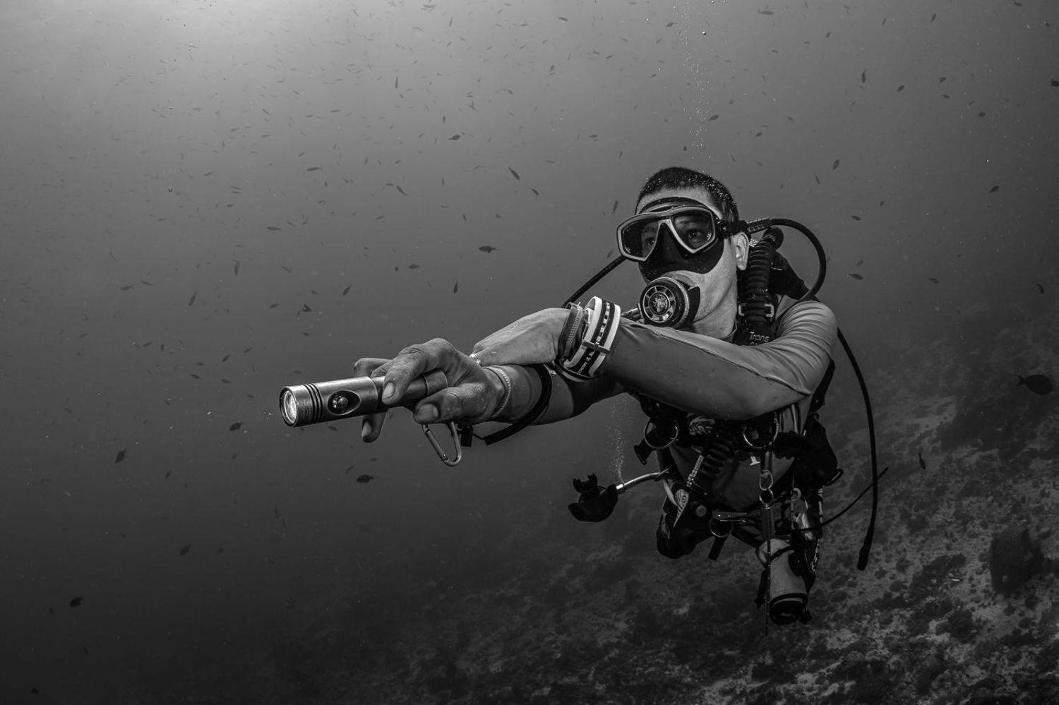 Автор: Савин Андрей , Савин Андрей