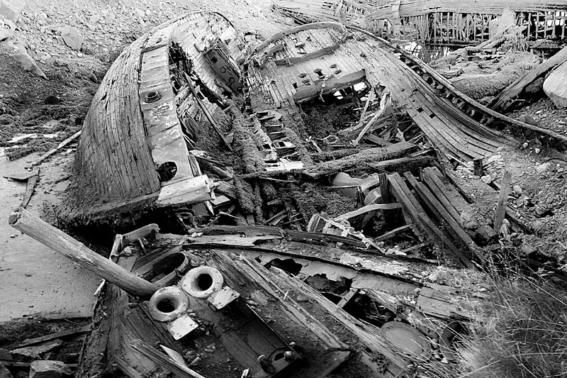 Фаршботphoto preview