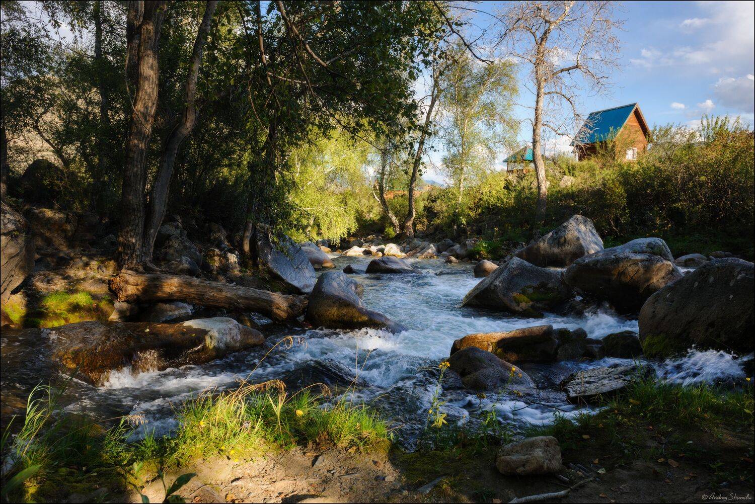 Горный ручей. Автор: Андрей Шумилин горный алтай, горы, ручей, Андрей Шумилин