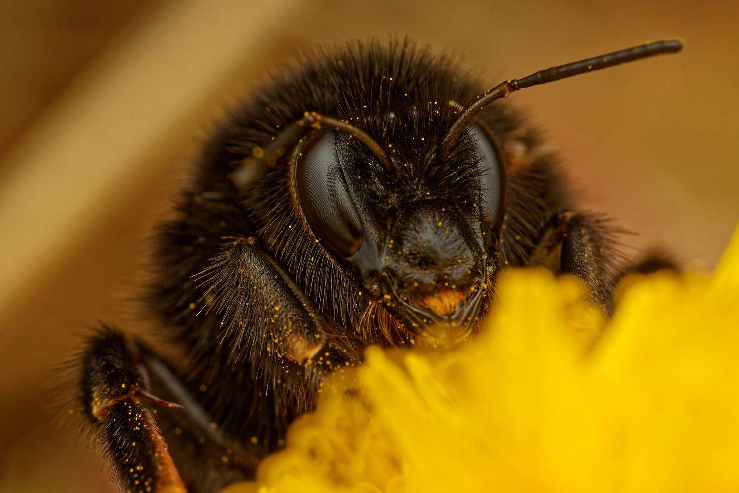 Автор: Jozef Mihalčin , Jozef Mihalčin