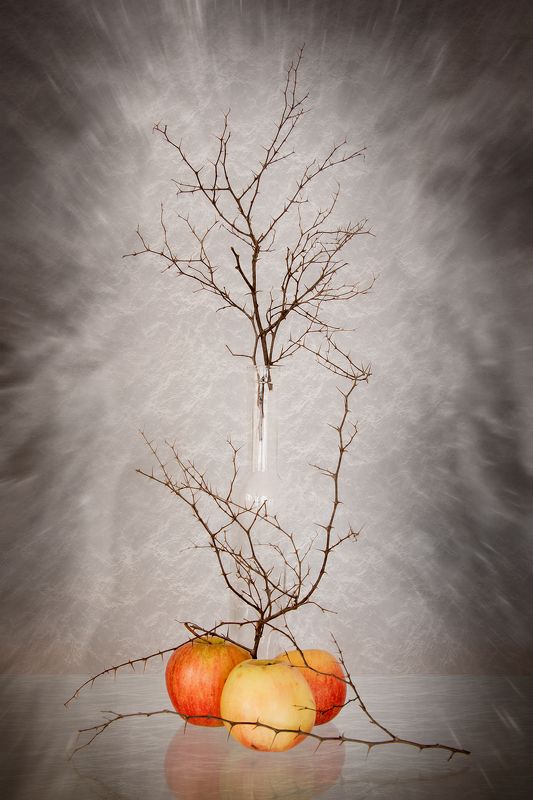 apple, apples, bottle, branches, color, colors, concept, conceptual, photography, red, still life, yellow, Small Bottle and Three Applesphoto preview
