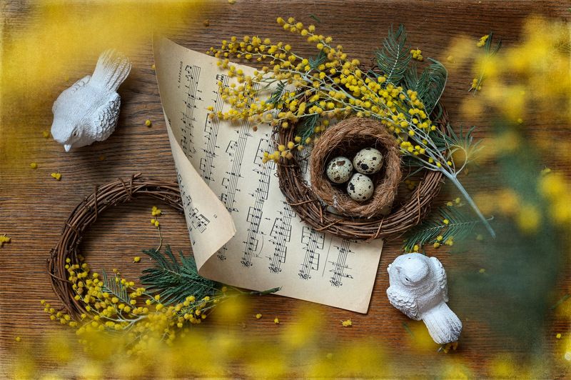 Весна пришла!photo preview