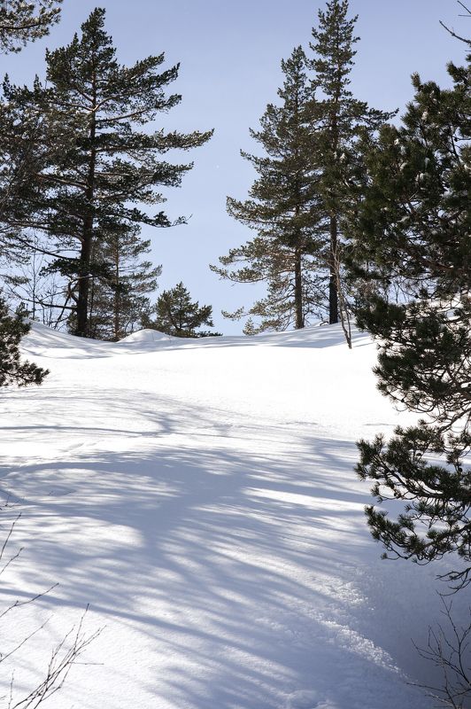 norway ski winter tur mauntains Winter.photo preview