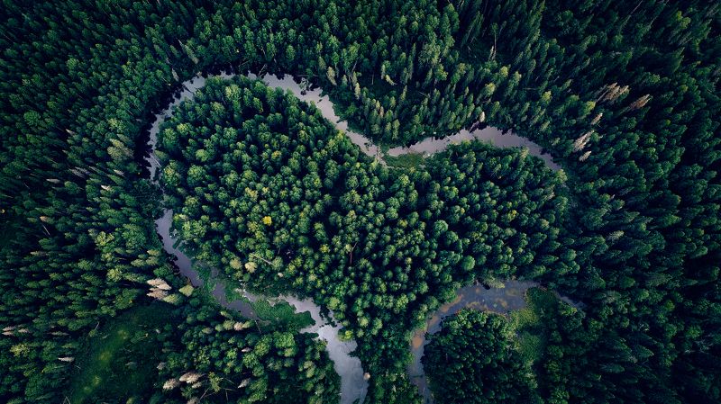 Сердце Комиphoto preview