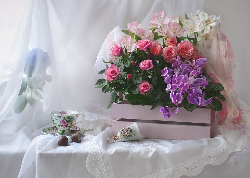 still life, натюрморт, цветы, фото натюрморт, весна,  настроение, розы, альстромерия,апрель, цикломен ...я вижу мир, как праздничное чудо!photo preview