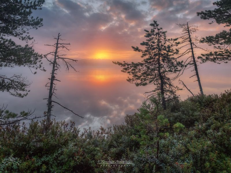 Утро на лесном озере...photo preview