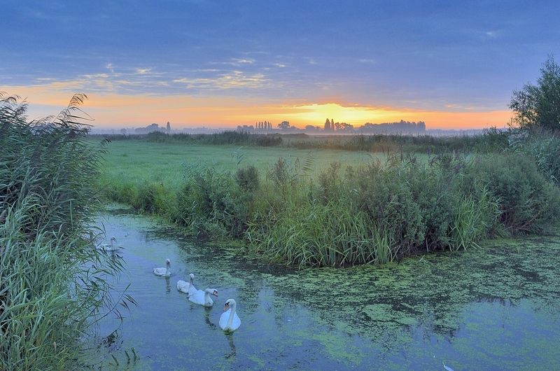 My region.photo preview