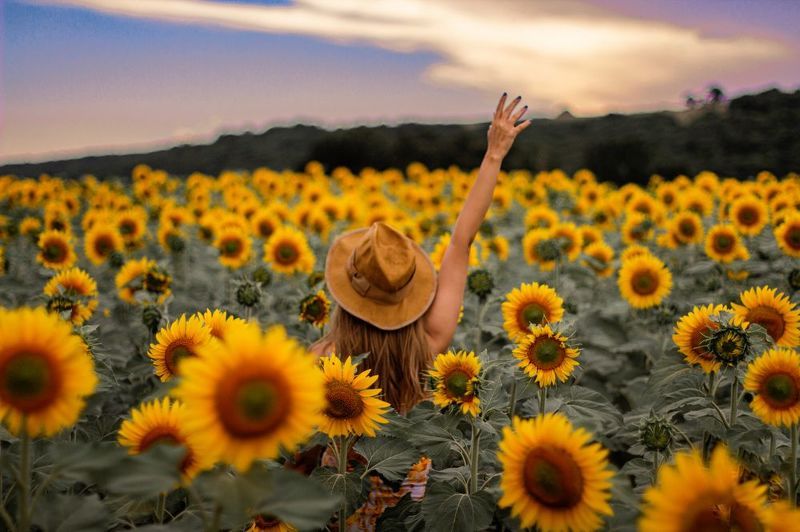 behind the sunset , front of sunrise Behind the sunset , front of sunrisephoto preview