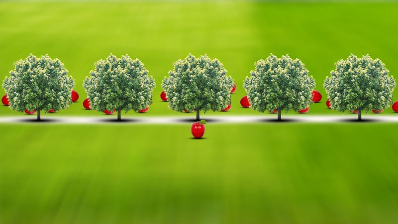 Apple Gardenphoto preview