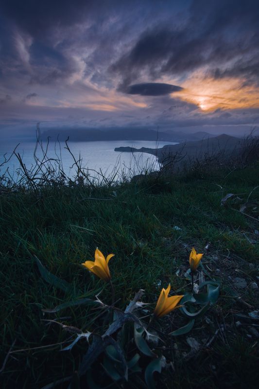 Мыс Хамелеонphoto preview