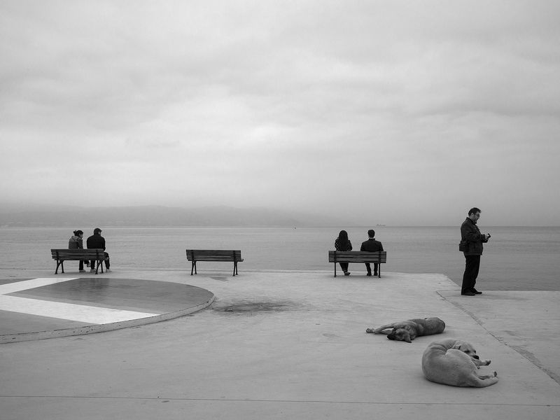 Silencephoto preview