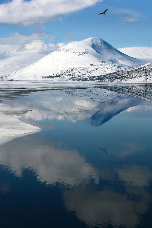 Гора девичьяphoto preview