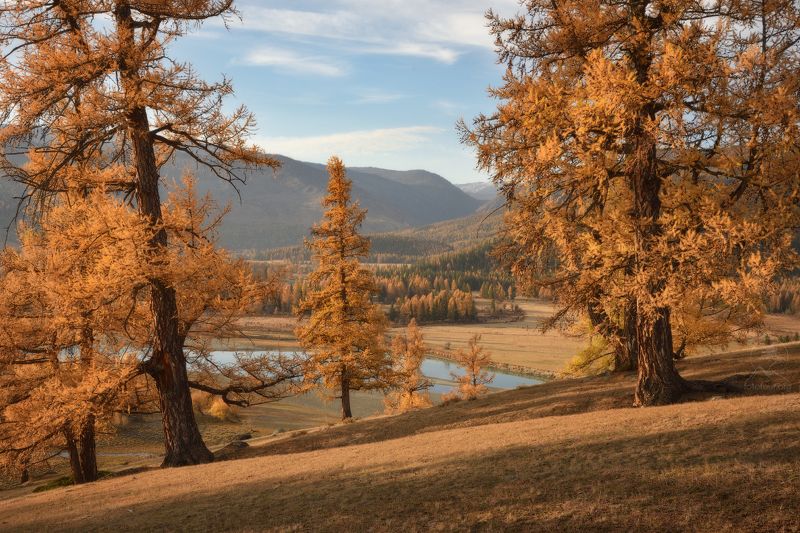 аргут, алтай, горный алтай, фототур на алтай, джазатор Утро в Джазатореphoto preview