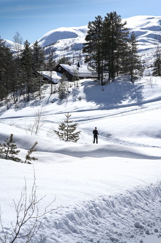 norway ski winter tur mauntains Ski tur.photo preview