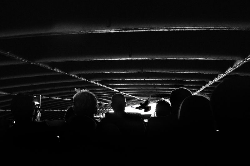 Абрисphoto preview