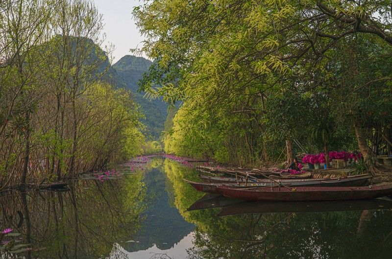 Water Lyly Boatphoto preview