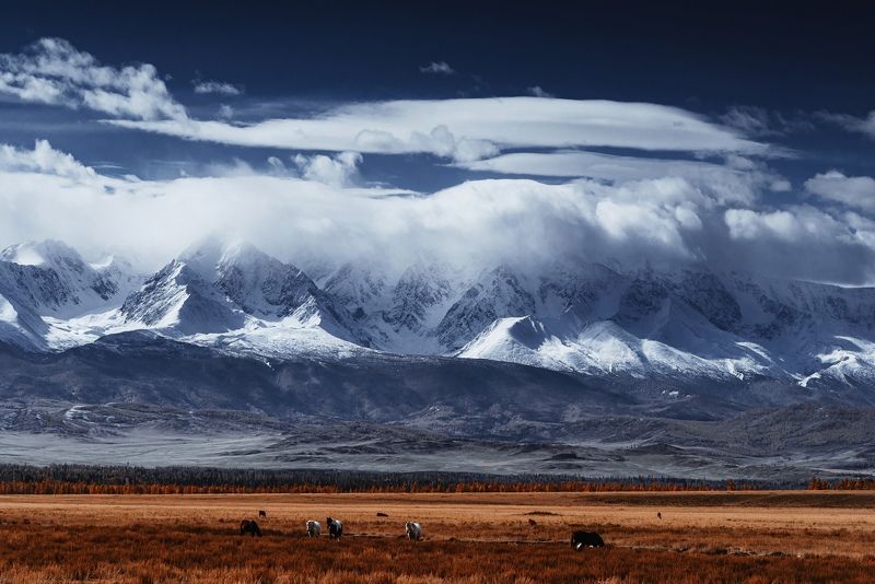 горы, горный алтай, чуйский тракт, пейзаж, алтай, дорога, россия Чуйский трактphoto preview