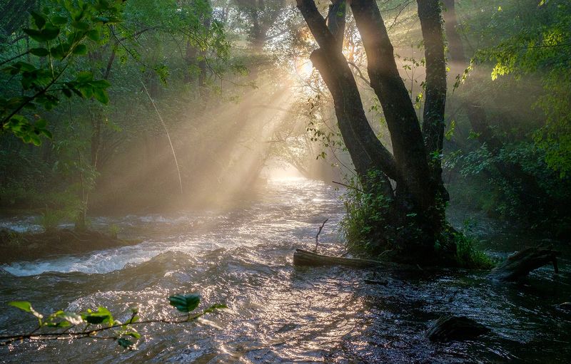 река, крым, light, river, landscape, солнечный луч Солнечный луч в каньоне реки Чернаяphoto preview