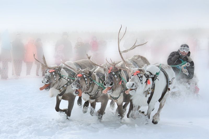 командаphoto preview