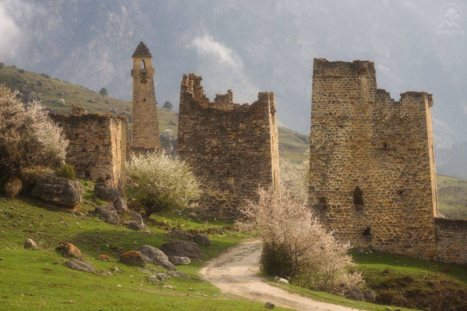 "Эстетика весны". Автор: Гордиенко Анатолий ингушетия, заповедник эрзи, башенные комплексы, весна, цветение, фототур в ингушетию, горы, Гордиенко Анатолий