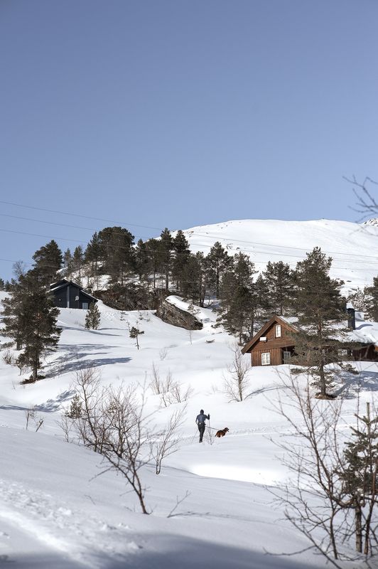 norway ski winter tur mauntains Ski in Norway.photo preview