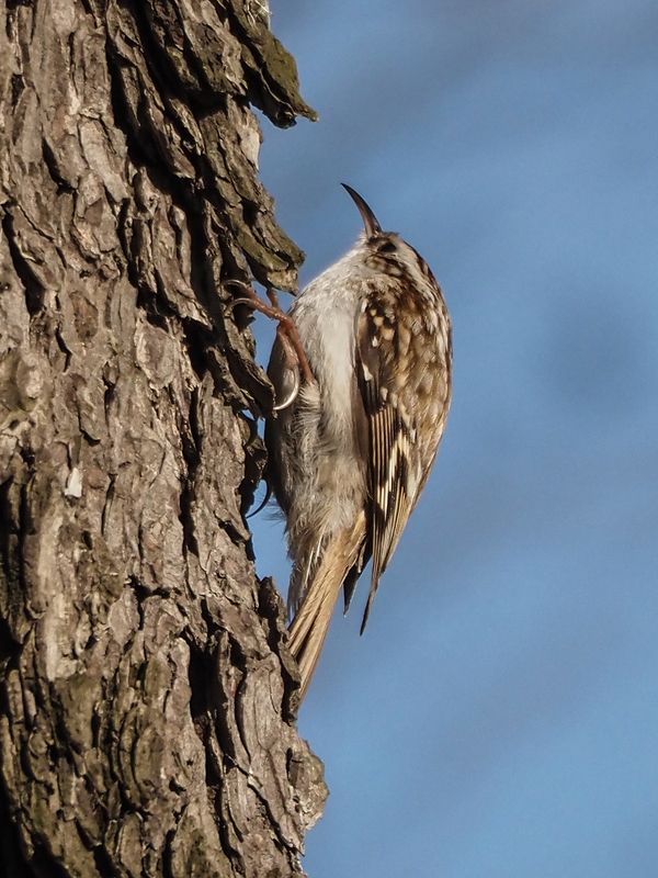в поискеphoto preview