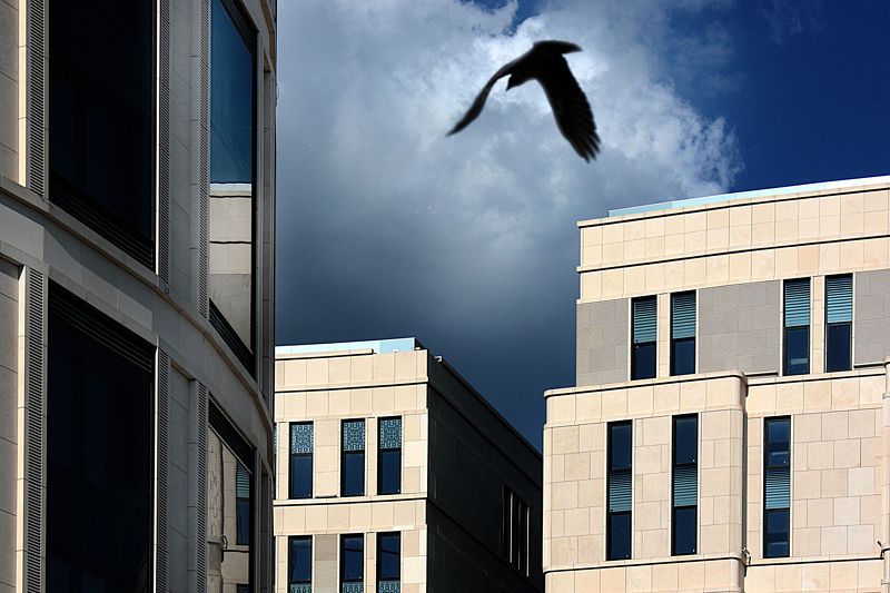 В гнездоphoto preview