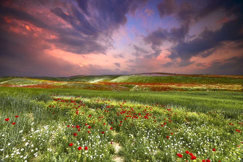 Райские поля Золотой Долины! Вахшская долина. Бохтар(Курган -Тюбе)-Уялы- Обикиик(Хуросон). Хатлон.photo preview