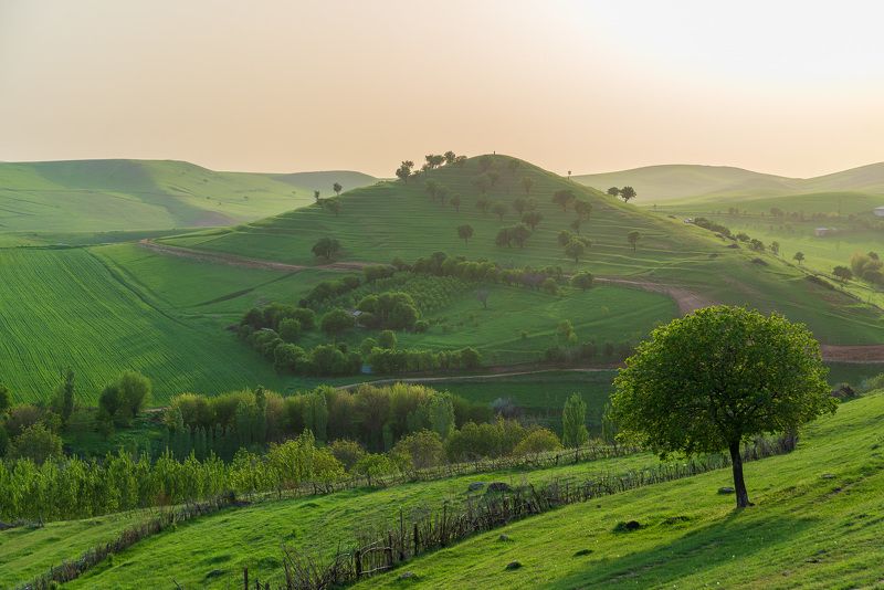 узбекистан, uzbekistan photo preview