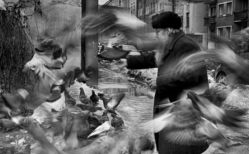 городские ангелыphoto preview