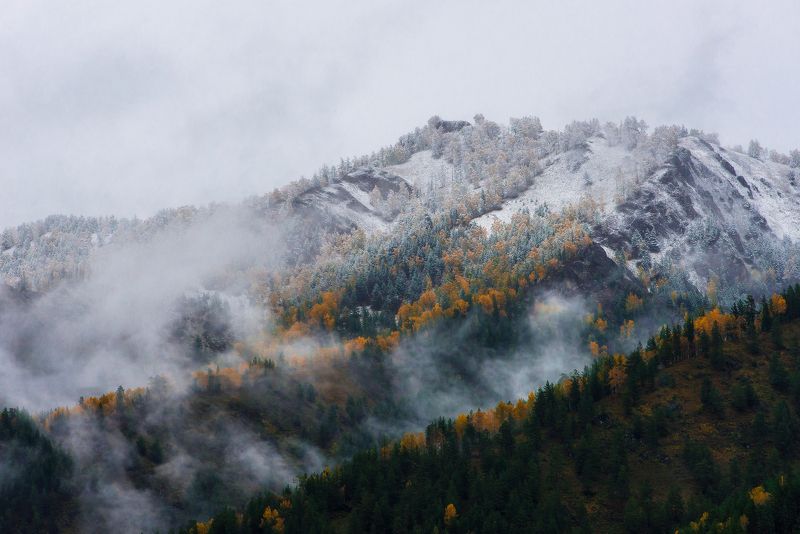 горы, горный алтай, чуйский тракт, пейзаж, алтай, зима, россия Снежные вершины Алтаяphoto preview
