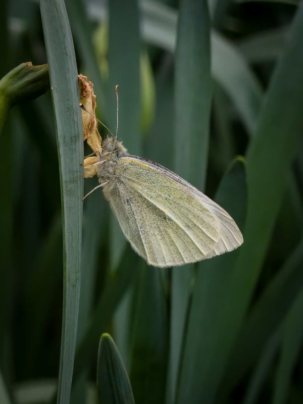 Весна пришлаphoto preview