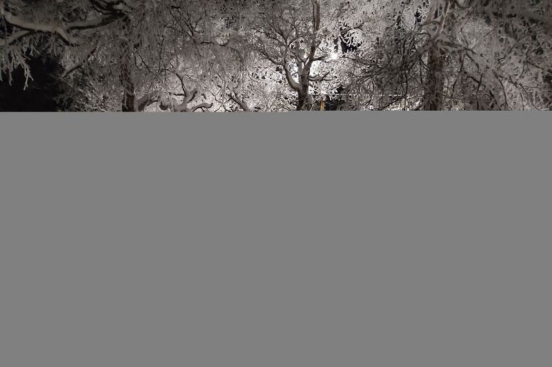 променадphoto preview