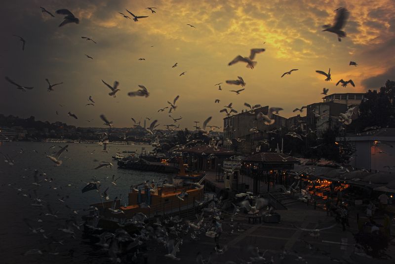 street,citylife,sunset,istanbul, starvationphoto preview