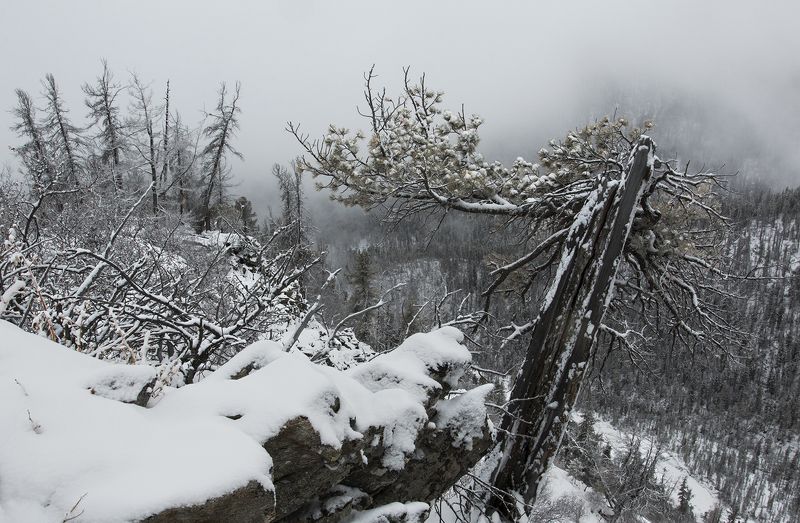 восточные, саяны, тункинские, гольцы Из серии \