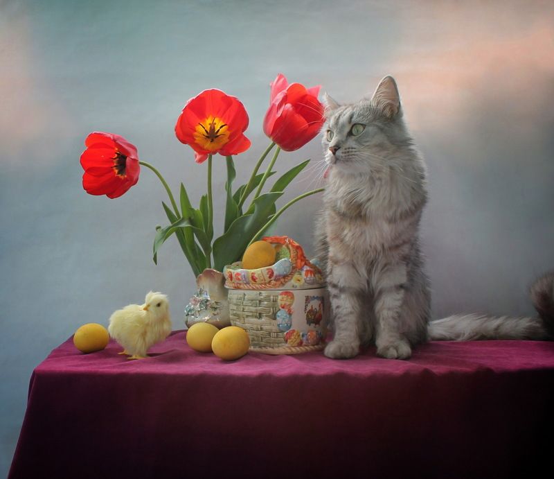 животные, кошки, натюрморт, пасха, тюльпаны, яйца Как Феня Пасху ждал (2)photo preview