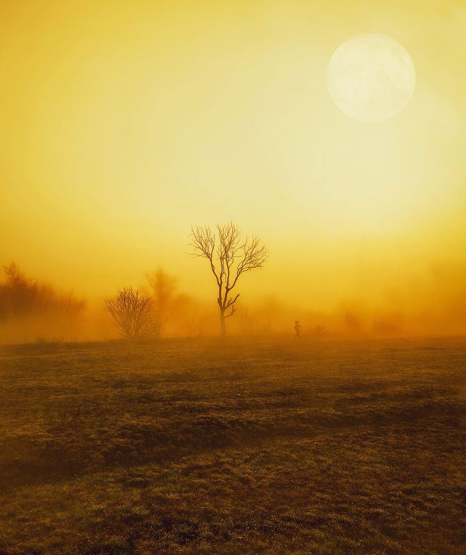 спорт,солнце,бег Марафон пустынных степейphoto preview