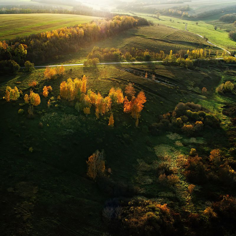 Россыпь осеннего золотаphoto preview