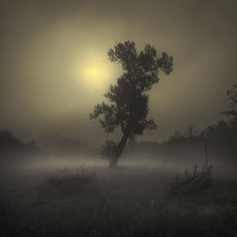 Одинокая осеньphoto preview