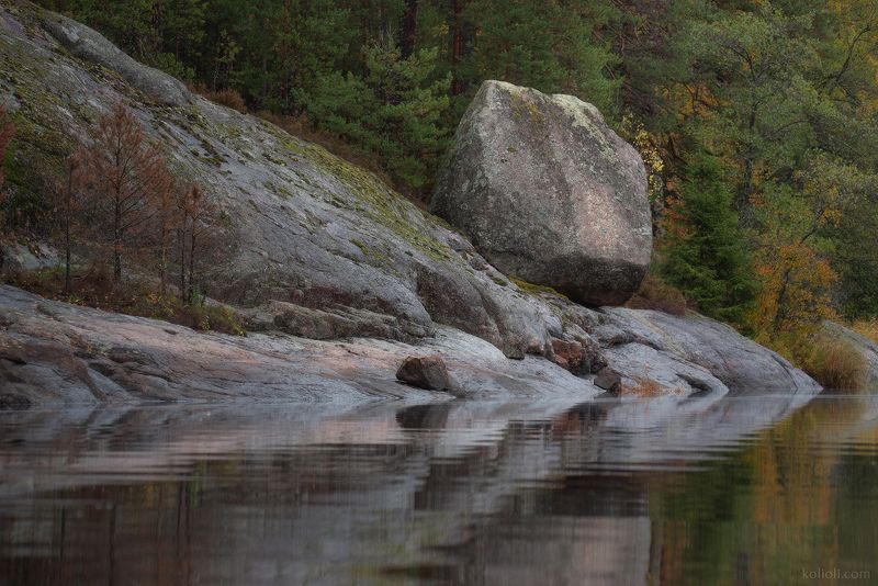 выборг, беличий залив, в лесах под выборгом, золотая осень, туман, отражения осени, беличьи скалы, карельский перешеек Осень Беличьего заливаphoto preview