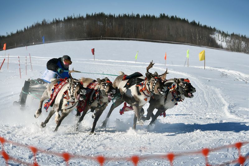 дрифтphoto preview